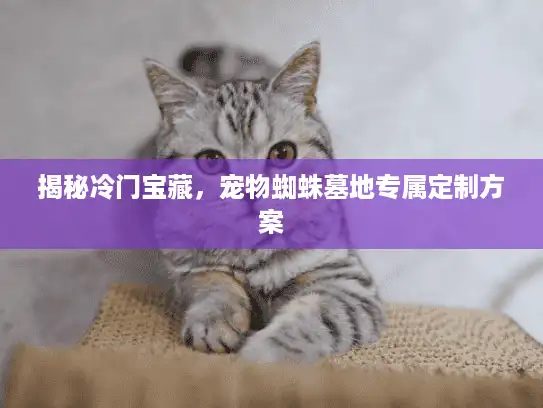 揭秘冷门宝藏，宠物蜘蛛墓地专属定制方案