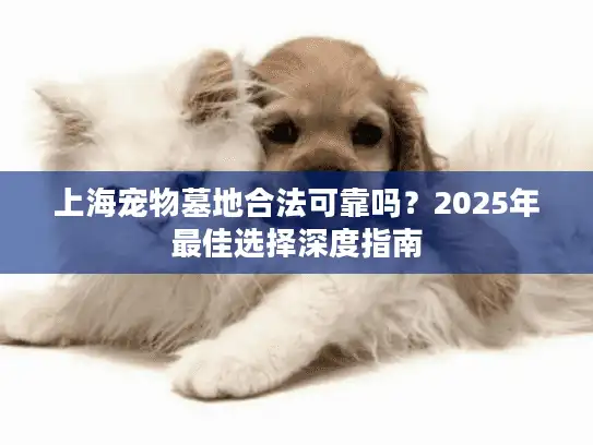 上海宠物墓地合法可靠吗？2025年最佳选择深度指南