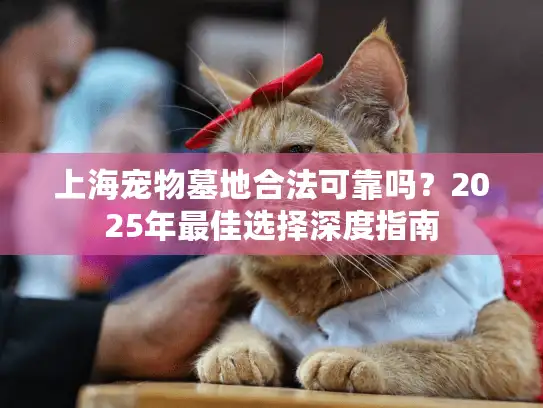 上海宠物墓地合法可靠吗？2025年最佳选择深度指南