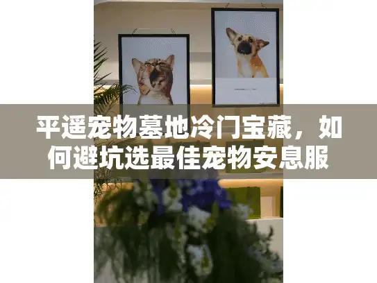 平遥宠物墓地冷门宝藏，如何避坑选最佳宠物安息服务