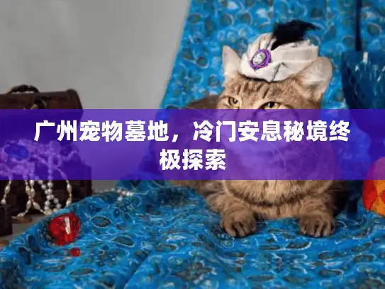广州宠物墓地，冷门安息秘境终极探索