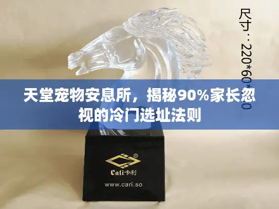 天堂宠物安息所，揭秘90%家长忽视的冷门选址法则