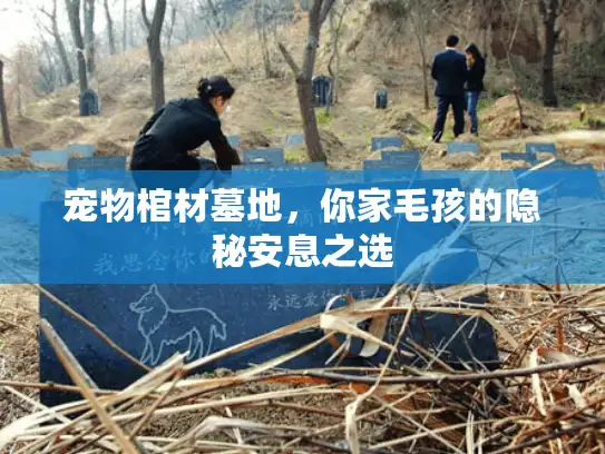 宠物棺材墓地，你家毛孩的隐秘安息之选
