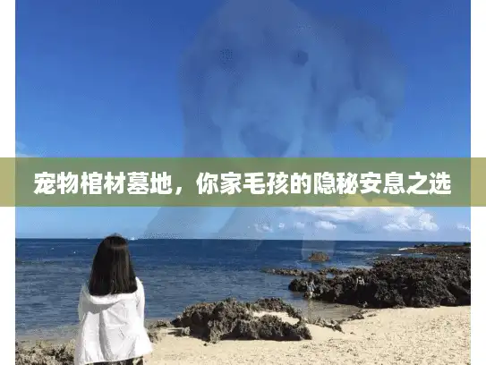 宠物棺材墓地，你家毛孩的隐秘安息之选