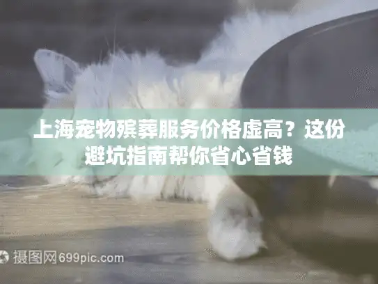 上海宠物殡葬服务价格虚高？这份避坑指南帮你省心省钱