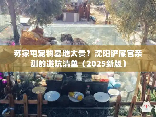 苏家屯宠物墓地太贵？沈阳铲屎官亲测的避坑清单（2025新版）