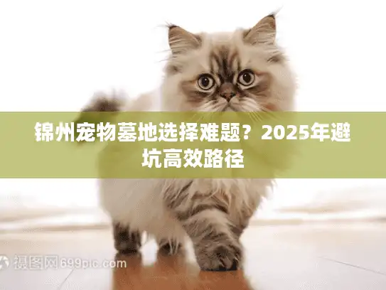 锦州宠物墓地选择难题？2025年避坑高效路径