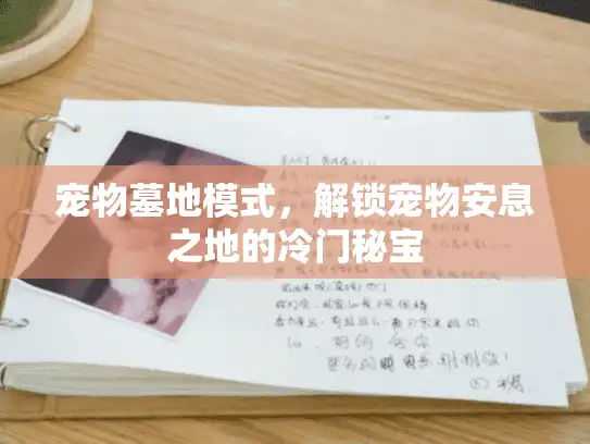 宠物墓地模式，解锁宠物安息之地的冷门秘宝