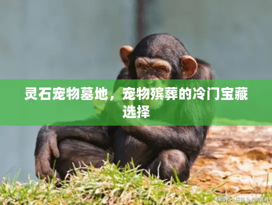 灵石宠物墓地，宠物殡葬的冷门宝藏选择