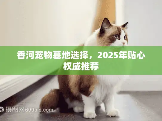 香河宠物墓地选择，2025年贴心权威推荐
