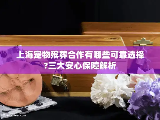 上海宠物殡葬合作有哪些可靠选择?三大安心保障解析