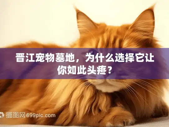 晋江宠物墓地，为什么选择它让你如此头疼？