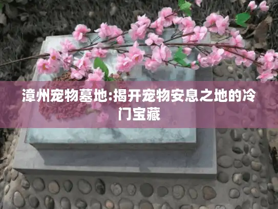 漳州宠物墓地:揭开宠物安息之地的冷门宝藏