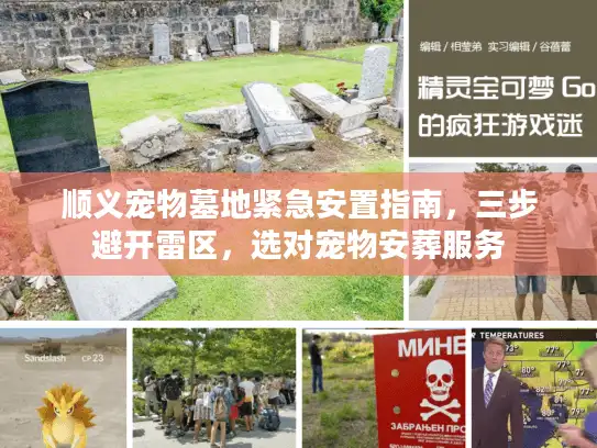 顺义宠物墓地紧急安置指南，三步避开雷区，选对宠物安葬服务
