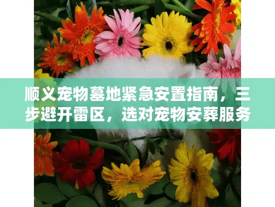 顺义宠物墓地紧急安置指南，三步避开雷区，选对宠物安葬服务