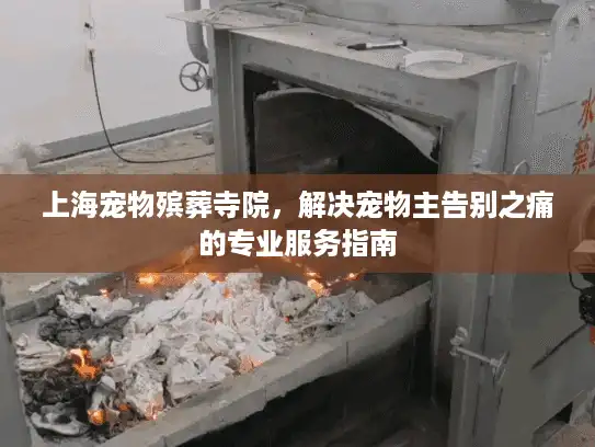 上海宠物殡葬寺院，解决宠物主告别之痛的专业服务指南