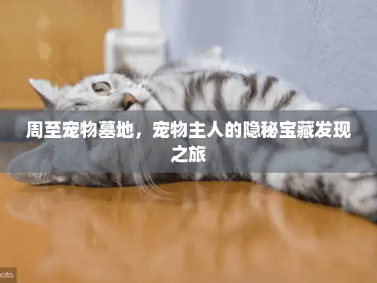 周至宠物墓地，宠物主人的隐秘宝藏发现之旅