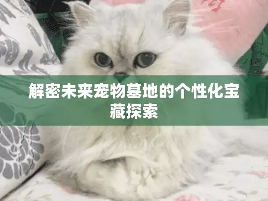解密未来宠物墓地的个性化宝藏探索