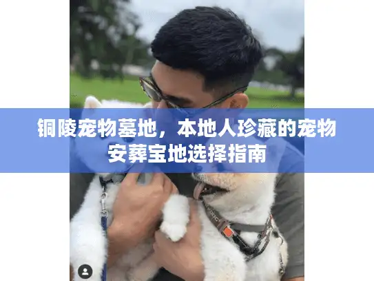 铜陵宠物墓地，本地人珍藏的宠物安葬宝地选择指南