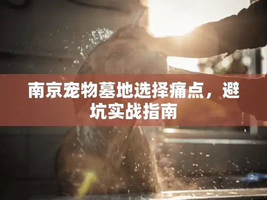 南京宠物墓地选择痛点，避坑实战指南