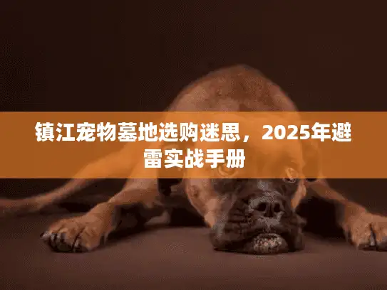 镇江宠物墓地选购迷思，2025年避雷实战手册