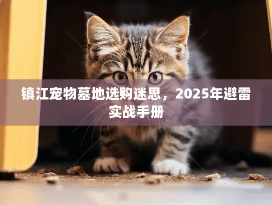 镇江宠物墓地选购迷思，2025年避雷实战手册