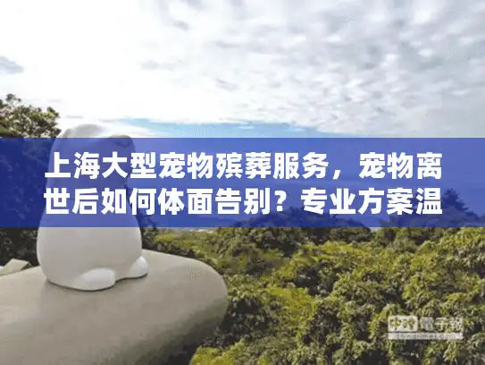 上海大型宠物殡葬服务，宠物离世后如何体面告别？专业方案温暖守护