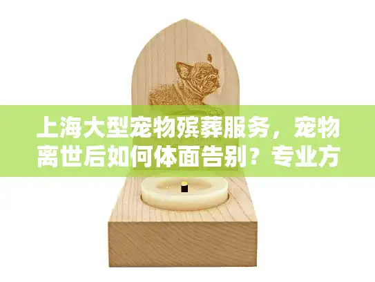 上海大型宠物殡葬服务，宠物离世后如何体面告别？专业方案温暖守护