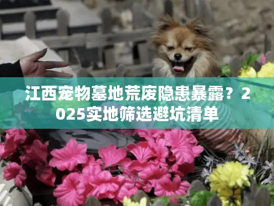 江西宠物墓地荒废隐患暴露？2025实地筛选避坑清单