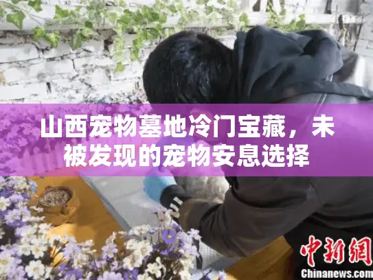 山西宠物墓地冷门宝藏，未被发现的宠物安息选择