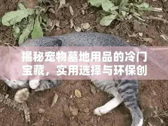 揭秘宠物墓地用品的冷门宝藏，实用选择与环保创新