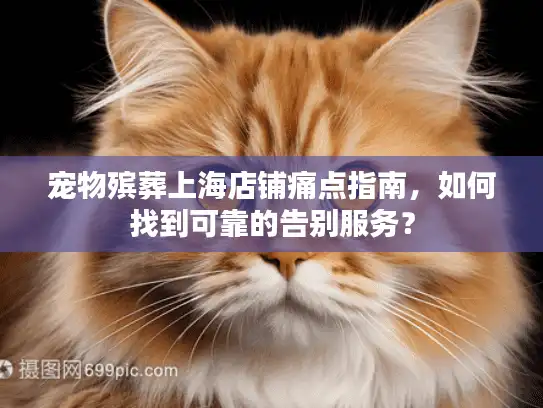 宠物殡葬上海店铺痛点指南，如何找到可靠的告别服务？