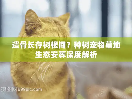 遗骨长存树根间？种树宠物墓地生态安葬深度解析