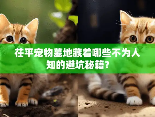 茌平宠物墓地藏着哪些不为人知的避坑秘籍？