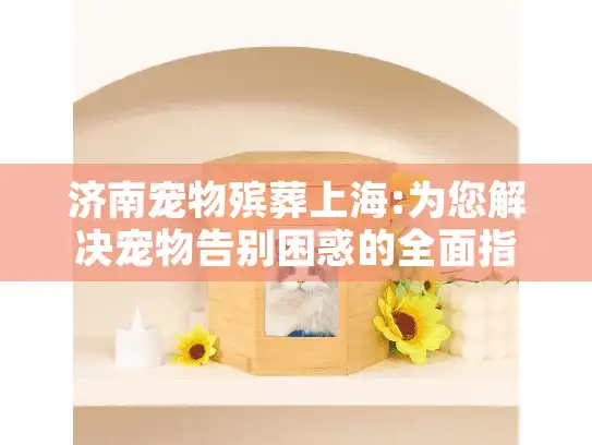 济南宠物殡葬上海:为您解决宠物告别困惑的全面指南