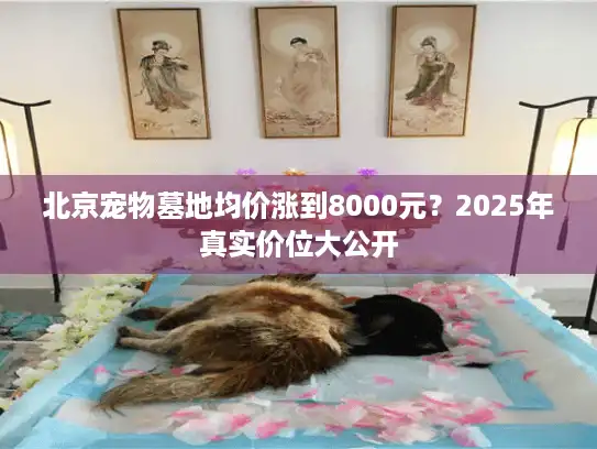 北京宠物墓地均价涨到8000元？2025年真实价位大公开