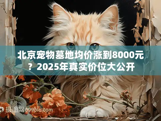 北京宠物墓地均价涨到8000元？2025年真实价位大公开