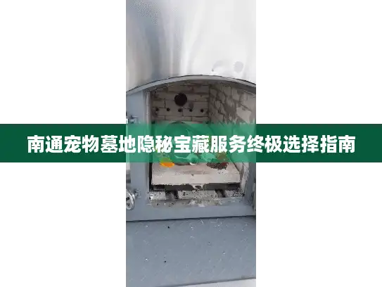 南通宠物墓地隐秘宝藏服务终极选择指南