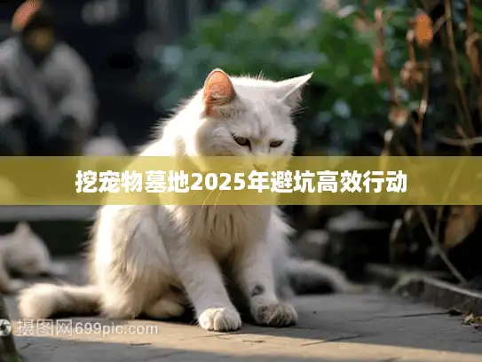 挖宠物墓地2025年避坑高效行动