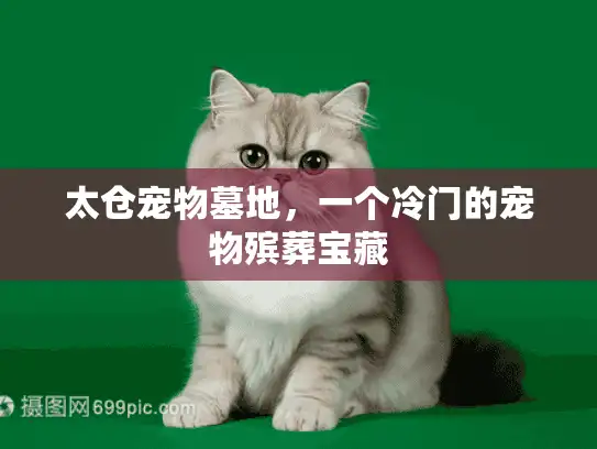 太仓宠物墓地，一个冷门的宠物殡葬宝藏