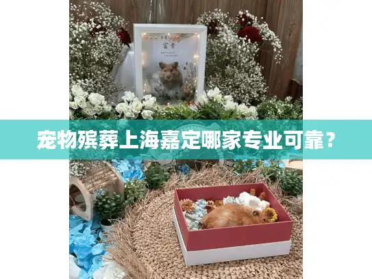 宠物殡葬上海嘉定哪家专业可靠？