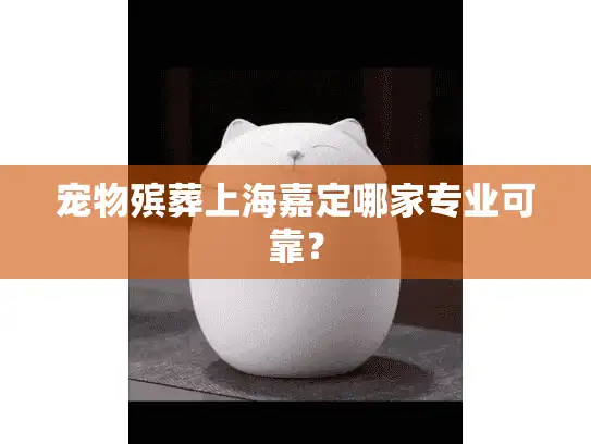 宠物殡葬上海嘉定哪家专业可靠？
