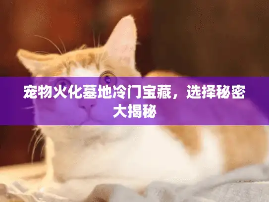 宠物火化墓地冷门宝藏，选择秘密大揭秘