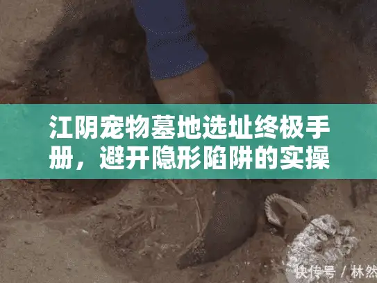 江阴宠物墓地选址终极手册，避开隐形陷阱的实操方案