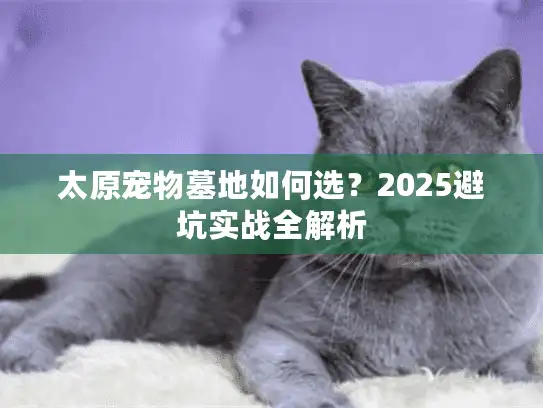 太原宠物墓地如何选？2025避坑实战全解析