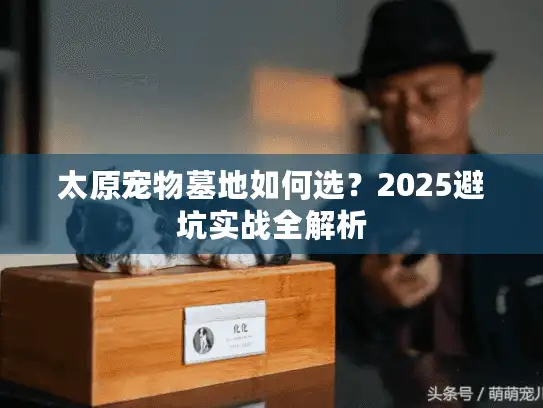 太原宠物墓地如何选？2025避坑实战全解析