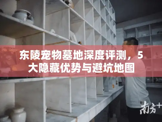 东陵宠物墓地深度评测，5大隐藏优势与避坑地图
