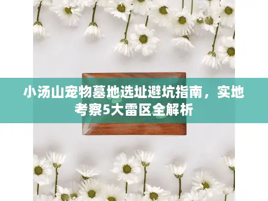 小汤山宠物墓地选址避坑指南，实地考察5大雷区全解析