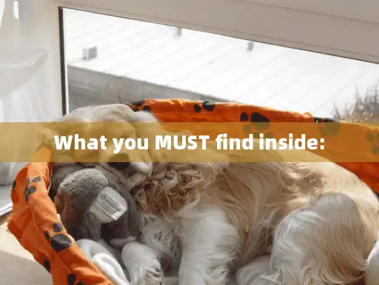 What you MUST find inside: