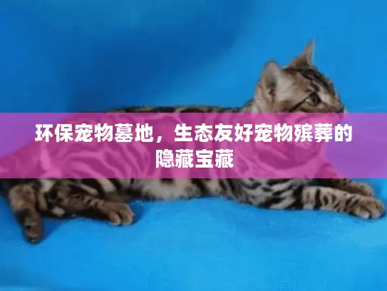 环保宠物墓地，生态友好宠物殡葬的隐藏宝藏